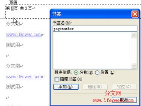 Word 中同一页面显示不同页码