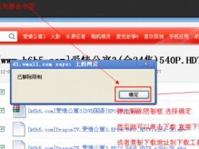 Dbank 华为网盘免登陆下载