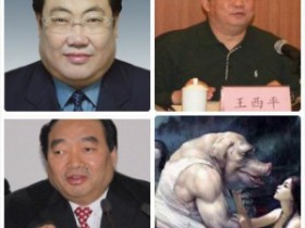 今日之声(2012年11月26日)公务员是中国的精英队伍