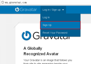 gravatar-2